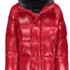 SAM Toddler Boys Vail Candy New